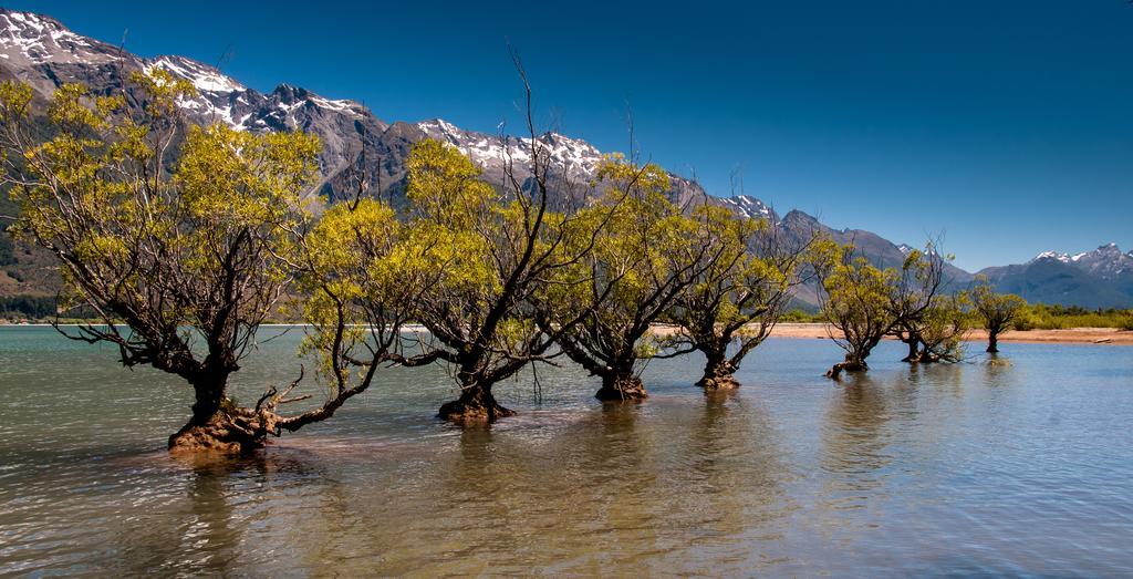 Glenorchy Peaks Bed And Breakfast Ngoại thất bức ảnh