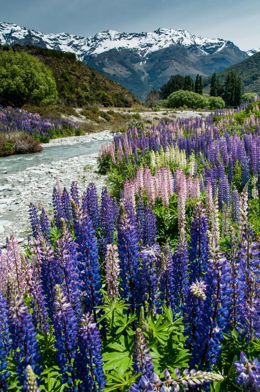 Glenorchy Peaks Bed And Breakfast Ngoại thất bức ảnh