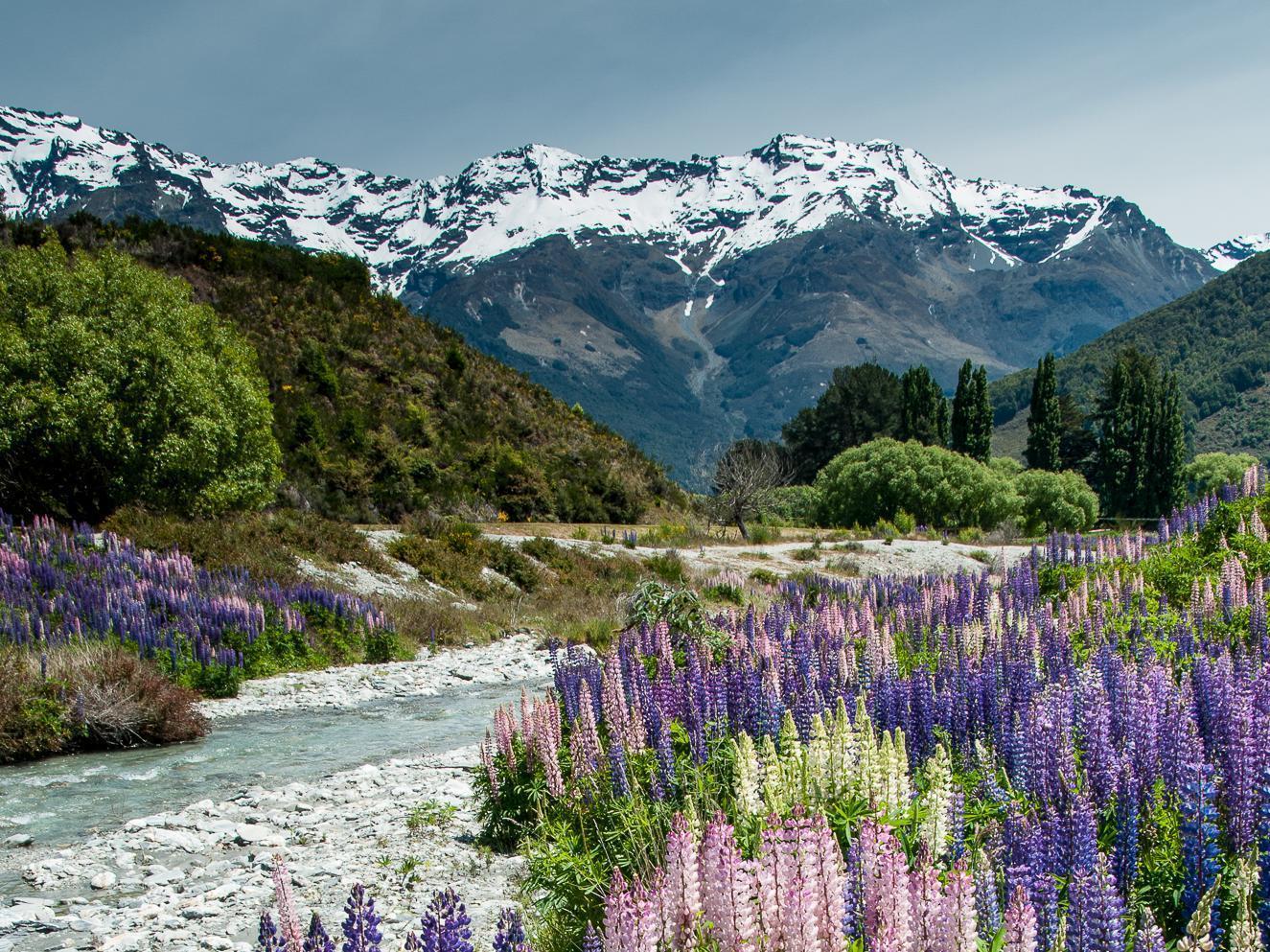 Glenorchy Peaks Bed And Breakfast Ngoại thất bức ảnh