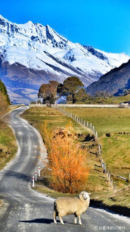 Glenorchy Peaks Bed And Breakfast Ngoại thất bức ảnh